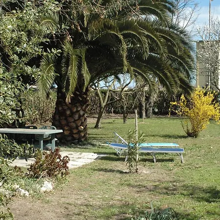Gasparini فيلة *